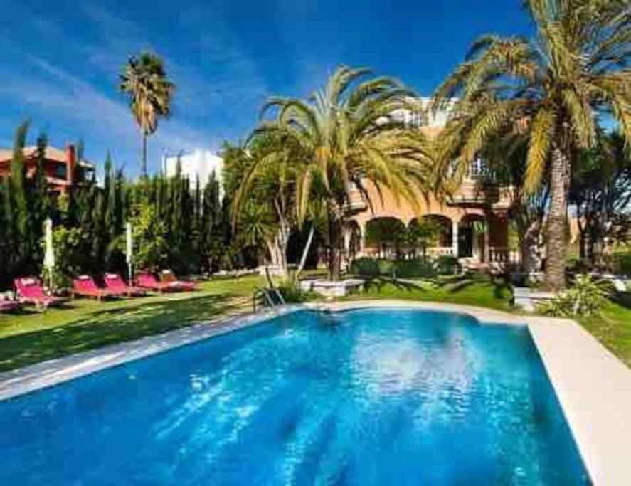 FRONT MER - Sublime appartement moderne et confortable Estepona Eksteriør billede